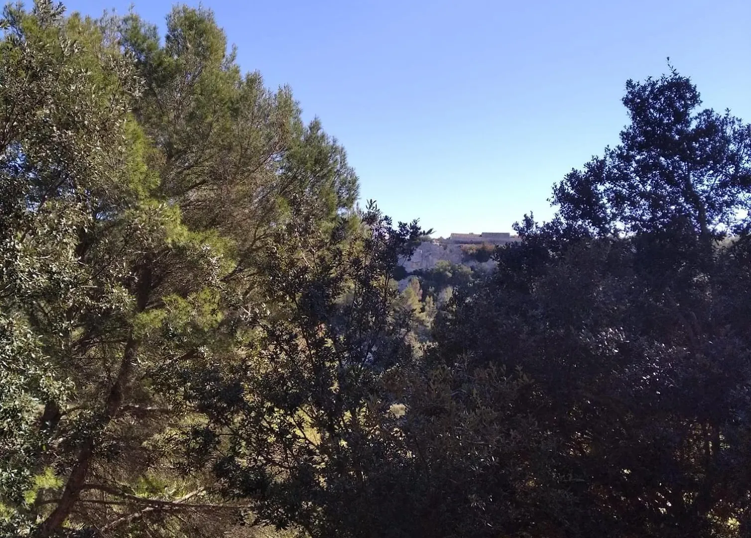 Es Niuet Apartment Cala Galdana   Cala Galdana (Menorca)